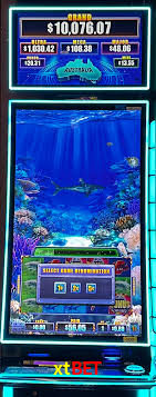 Tennis Betting xtbet